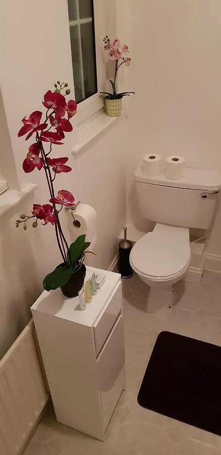 ****  Silver Eagle Bed & Breakfast Dublin İrlanda