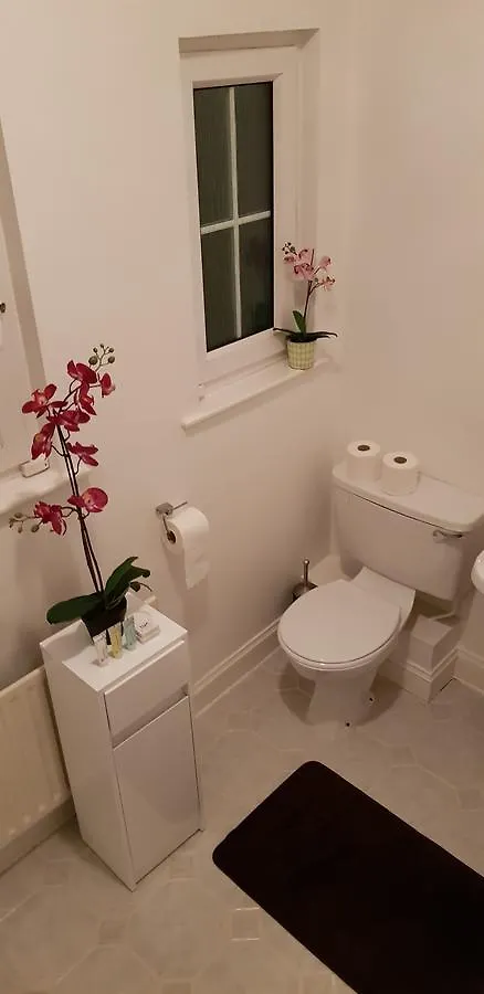 Silver Eagle Bed & Breakfast Dublin